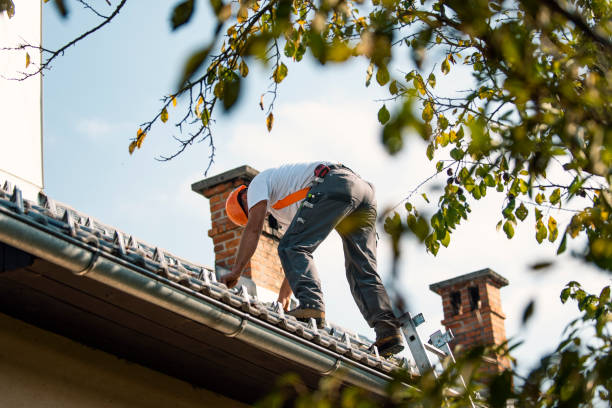 Best Roof Gutter Cleaning  in Iraan, TX