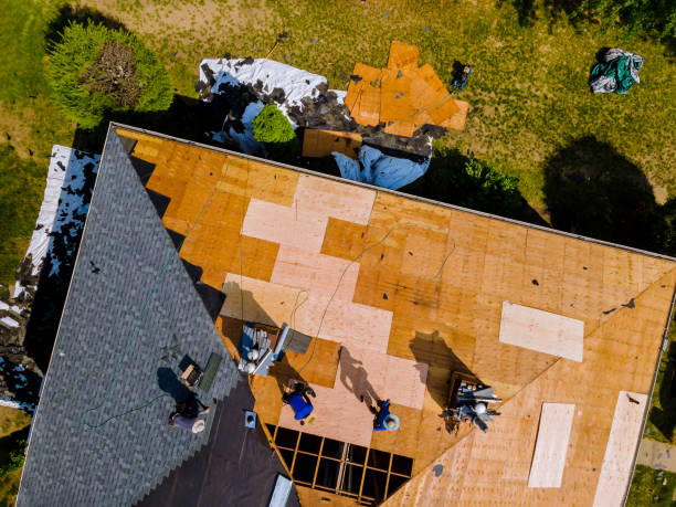 Best Roof Waterproofing Services  in Iraan, TX